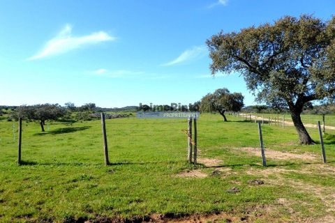 Helårsgrund i Portel, Evora, Portel - € 2.700.000 | Ref: 10001_Q - foto 5