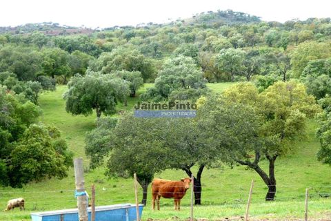 Helårsgrund i Portel, Evora, Portel - € 2.700.000 | Ref: 10001_Q - foto 6