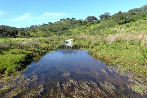 Helårsgrund i Portel, Evora, Portel - € 2.700.000 | Ref: 10001_Q - foto 8