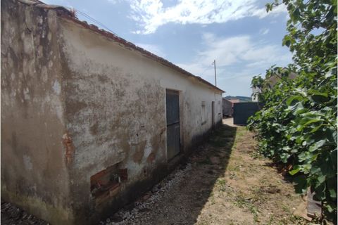 Villa i A dos Francos, Leiria, A dos Francos - € 110.000 | Ref: PTC20260116.2 - foto 4