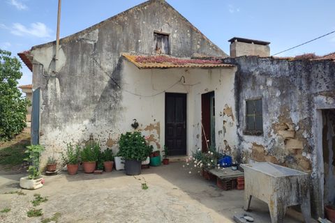 Villa i A dos Francos, Leiria, A dos Francos - € 110.000 | Ref: PTC20260116.2 - foto 11