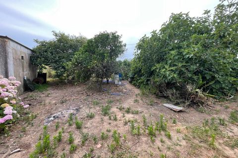 Villa i A dos Francos, Leiria, A dos Francos - € 110.000 | Ref: PTC20260116.2 - foto 18
