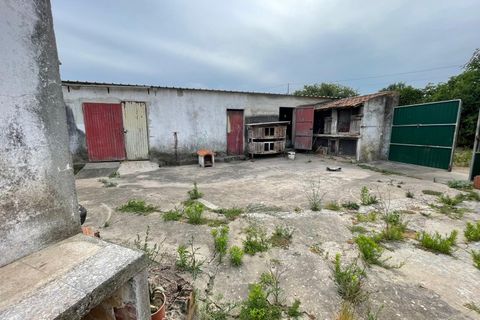 Villa i A dos Francos, Leiria, A dos Francos - € 110.000 | Ref: PTC20260116.2 - foto 19