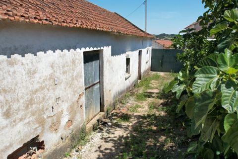 Villa i A dos Francos, Leiria, A dos Francos - € 110.000 | Ref: PTC20260116.2 - foto 21