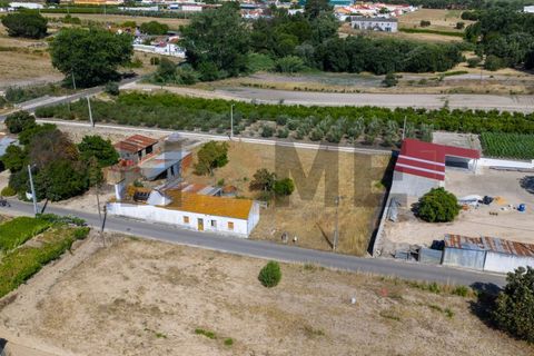 Villa a Almeirim, Santarem, Almeirim - € 78.500 | Ref: 100.001.911 - foto 3