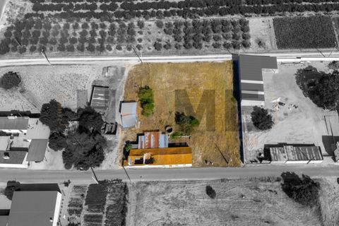 Villa a Almeirim, Santarem, Almeirim - € 78.500 | Ref: 100.001.911 - foto 11