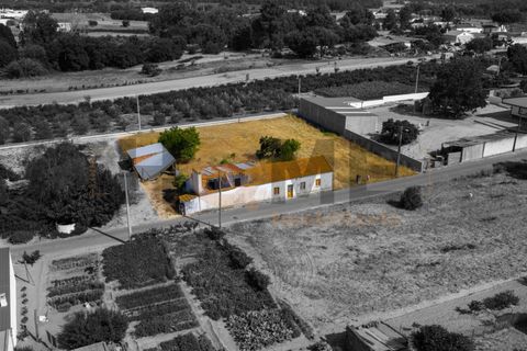 Villa a Almeirim, Santarem, Almeirim - € 78.500 | Ref: 100.001.911 - foto 13