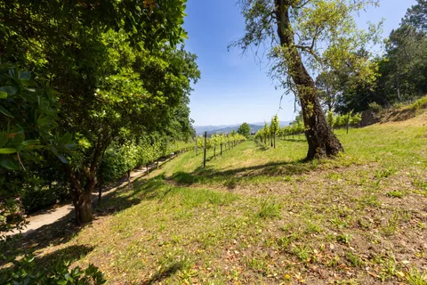 Farm hus i Ponte da Barca, Viana do Castelo, Ponte da Barca - € 1.350.000 | Ref: C0466-00388 - foto 34