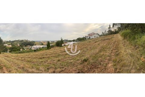 Terra a Maiorga, Leiria, Maiorga - € 195.000 | Ref: S4U138-V1 - foto 20