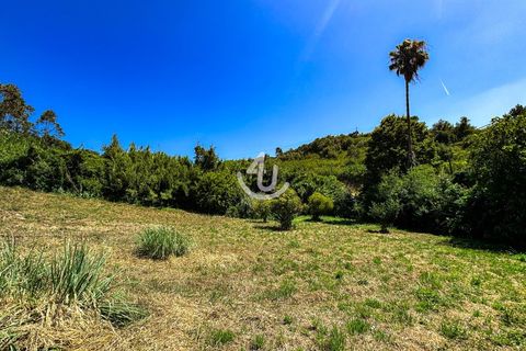 Terra a Maiorga, Leiria, Maiorga - € 195.000 | Ref: S4U138-V1 - foto 2