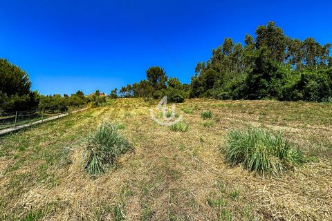 Terra a Maiorga, Leiria, Maiorga - € 195.000 | Ref: S4U138-V1 - foto 3
