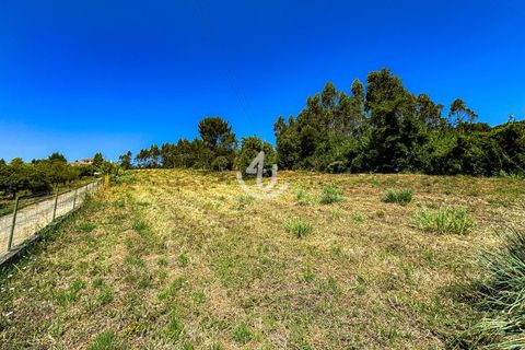 Terra a Maiorga, Leiria, Maiorga - € 195.000 | Ref: S4U138-V1 - foto 4