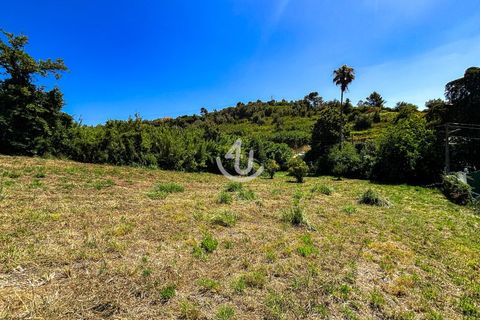 Terra a Maiorga, Leiria, Maiorga - € 195.000 | Ref: S4U138-V1 - foto 5