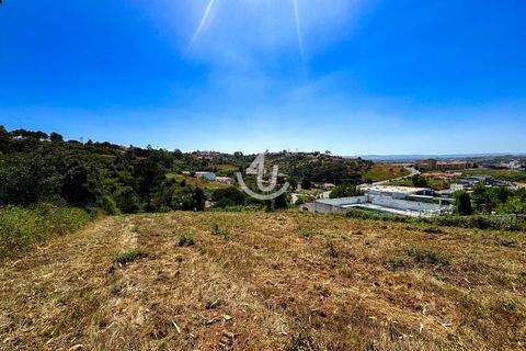 Terra a Maiorga, Leiria, Maiorga - € 195.000 | Ref: S4U138-V1 - foto 6