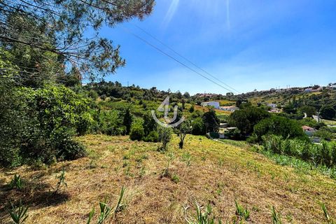 Terra a Maiorga, Leiria, Maiorga - € 195.000 | Ref: S4U138-V1 - foto 7