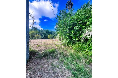 Terra a Maiorga, Leiria, Maiorga - € 195.000 | Ref: S4U138-V1 - foto 8