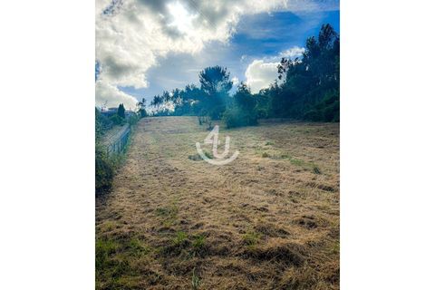 Terra a Maiorga, Leiria, Maiorga - € 195.000 | Ref: S4U138-V1 - foto 9