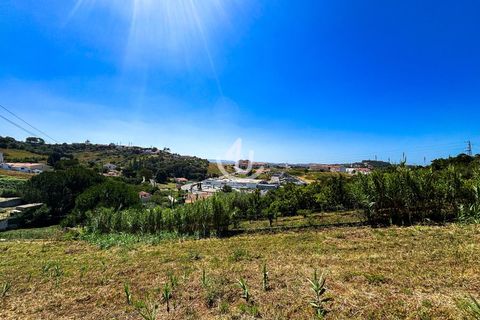 Terra a Maiorga, Leiria, Maiorga - € 195.000 | Ref: S4U138-V1 - foto 10