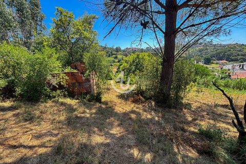 Terra a Maiorga, Leiria, Maiorga - € 195.000 | Ref: S4U138-V1 - foto 12