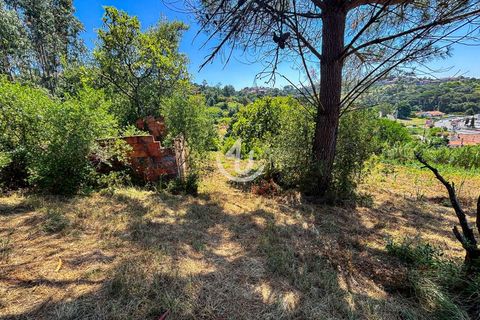 Terra a Maiorga, Leiria, Maiorga - € 195.000 | Ref: S4U138-V1 - foto 13
