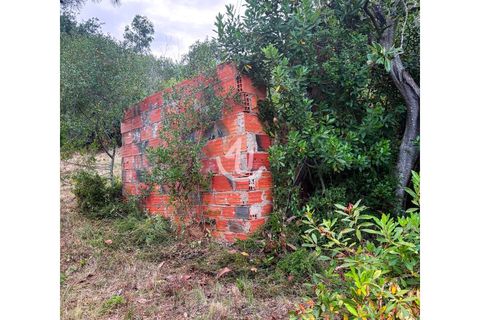 Terra a Maiorga, Leiria, Maiorga - € 195.000 | Ref: S4U138-V1 - foto 14