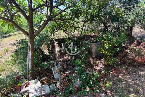 Terra a Maiorga, Leiria, Maiorga - € 195.000 | Ref: S4U138-V1 - foto 16