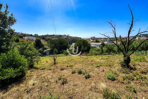 Terra a Maiorga, Leiria, Maiorga - € 195.000 | Ref: S4U138-V1 - foto 17