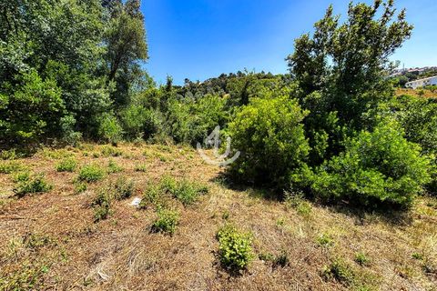 Terra a Maiorga, Leiria, Maiorga - € 195.000 | Ref: S4U138-V1 - foto 18