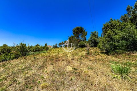 Terra a Maiorga, Leiria, Maiorga - € 195.000 | Ref: S4U138-V1 - foto 19