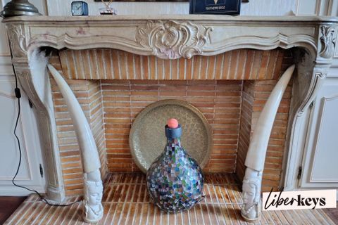 Apartament a Tournus, Saone-et-Loire, Tournus - € 239.000 | Ref: DOM33620 - foto 2