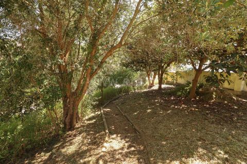 Villa i Torres Vedras, Lisbon, Torres Vedras - € 356.500 | Ref: 295260060 - foto 16