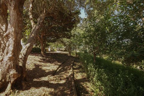 Villa i Torres Vedras, Lisbon, Torres Vedras - € 356.500 | Ref: 295260060 - foto 17