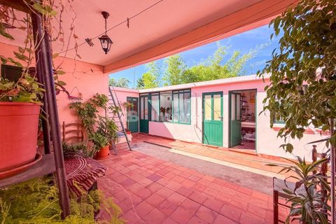 Villa i Tramagal, Santarem, Tramagal - € 545.000 | Ref: 02062-26 - foto 31