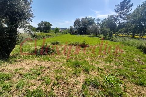 Helårsgrund i Agueda, Aveiro, Agueda - € 35.000 | Ref: AG 4354 - foto 1