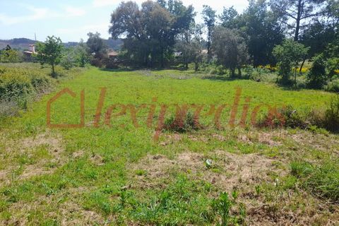 Helårsgrund i Agueda, Aveiro, Agueda - € 35.000 | Ref: AG 4354 - foto 2