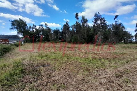 Helårsgrund i Agueda, Aveiro, Agueda - € 60.000 | Ref: AG 4386 - foto 1