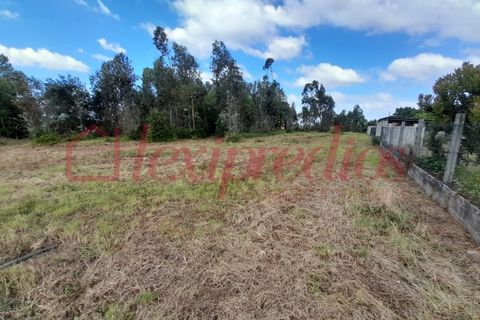 Helårsgrund i Agueda, Aveiro, Agueda - € 60.000 | Ref: AG 4386 - foto 2