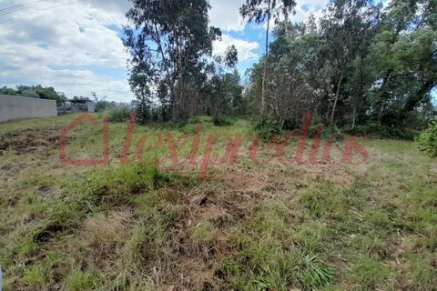 Helårsgrund i Agueda, Aveiro, Agueda - € 60.000 | Ref: AG 4386 - foto 3