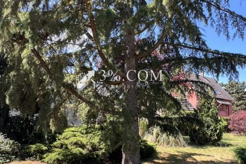 Villa a Sélestat, Bas-Rhin, Sélestat - € 442.900 | Ref: 308_V3950064372 - foto 4
