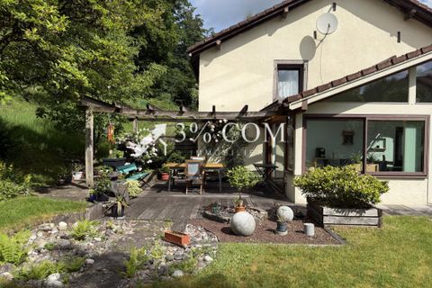 Landsbyhus i Saint-Nabord, Vosges, Saint-Nabord - € 280.000 | Ref: 390_1809 - foto 19
