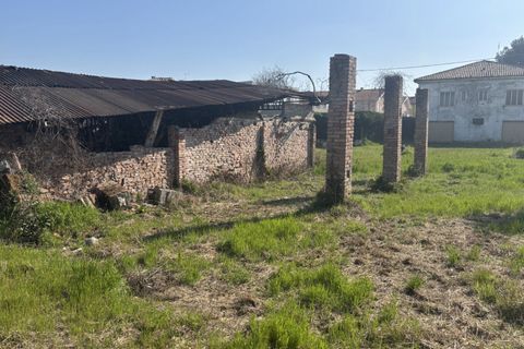 Helårsgrund i Mestrino, Padua, Mestrino - € 360.000 | Ref: TR250 - foto 9