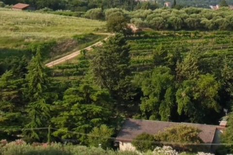 Villa i Negar, Verona, Negar - € 850.000 | Ref: 2700RV56389 - foto 2