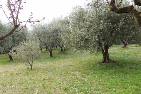 Villa i Negar, Verona, Negar - € 850.000 | Ref: 2700RV56389 - foto 9
