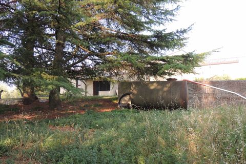 Villa i Negar, Verona, Negar - € 850.000 | Ref: 2700RV56389 - foto 11
