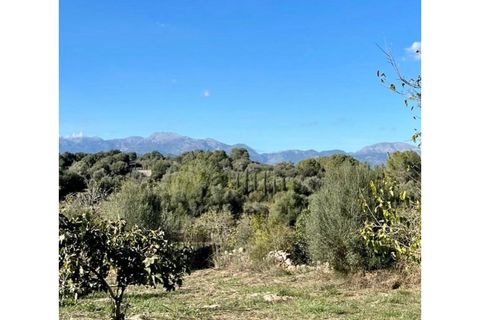 Landejendom i Llubi, Mallorca, Llubi - € 498.000 | Ref: 6276 - foto 5