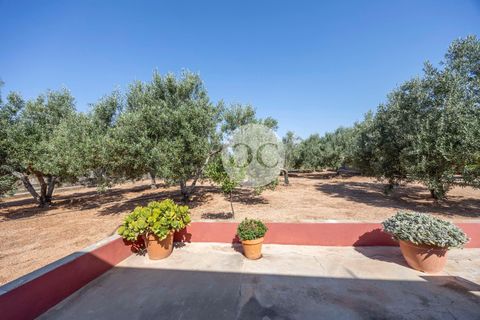 Herregård i El Puig, Valencia, El Puig - € 285 000 | Ref: NA035/6904 - foto 39