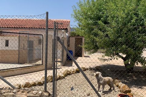 Erhvervsejendom i Salinas, Alicante, Salinas - € 695.000 | Ref: GMJJ4197 - foto 3