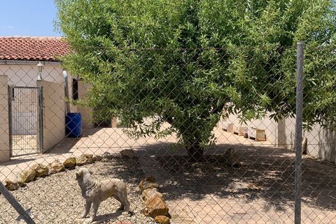 Erhvervsejendom i Salinas, Alicante, Salinas - € 695.000 | Ref: GMJJ4197 - foto 6