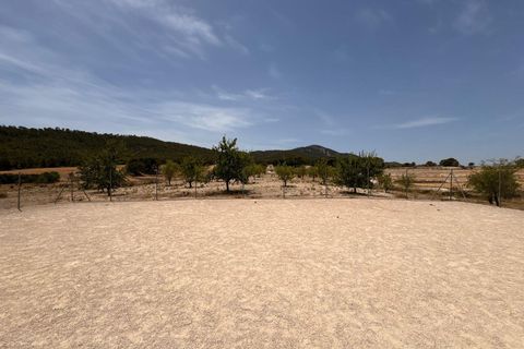 Erhvervsejendom i Salinas, Alicante, Salinas - € 695.000 | Ref: GMJJ4197 - foto 8