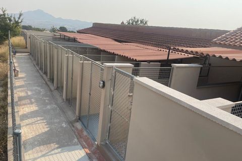 Erhvervsejendom i Salinas, Alicante, Salinas - € 695.000 | Ref: GMJJ4197 - foto 10